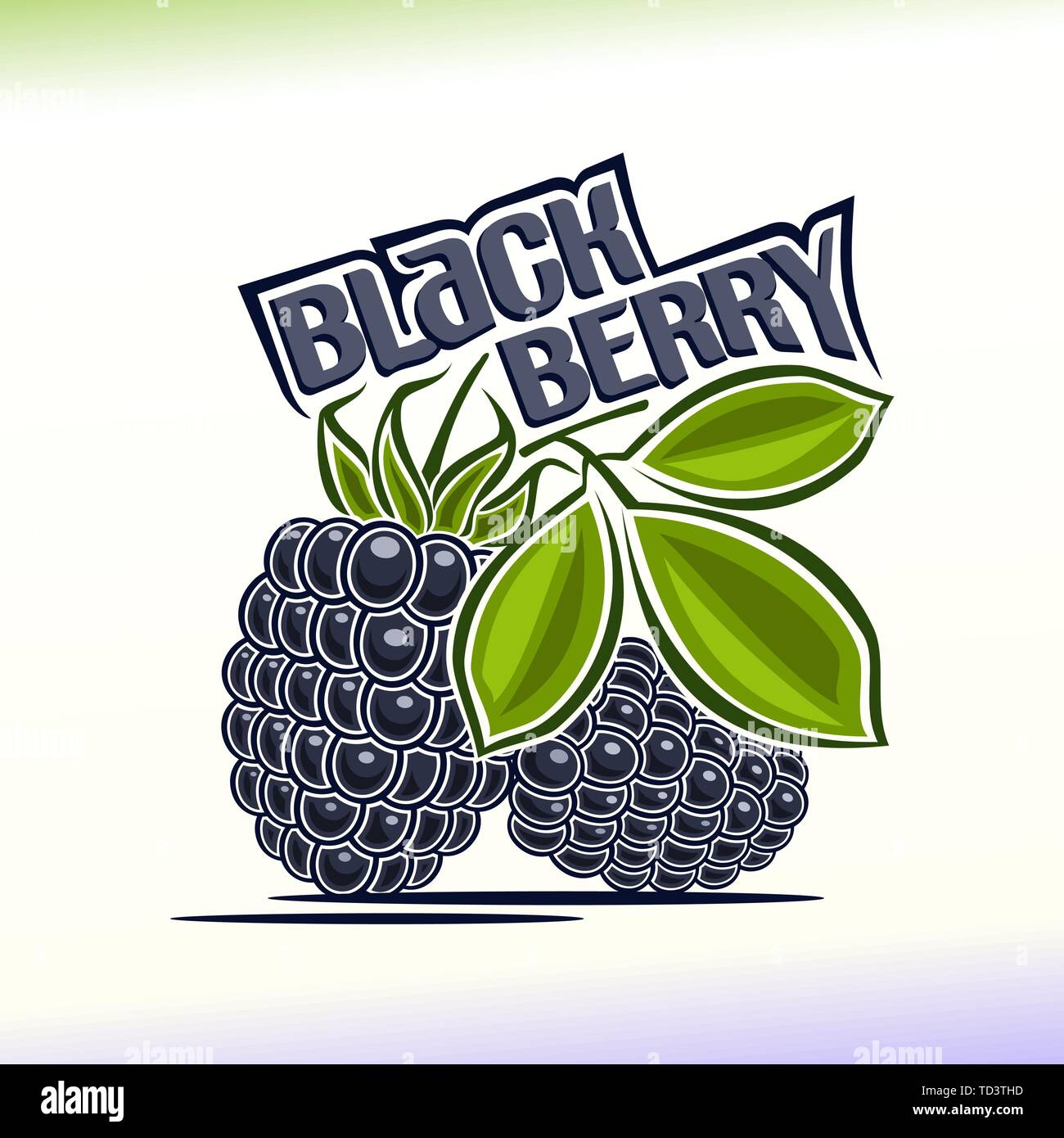 Vector logo for blackberry Stock Vector