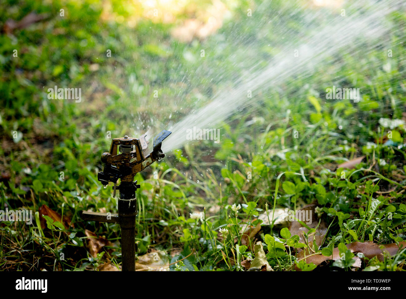 Lawn Water Sprinkler Spraying Water Over Stock Photo Alamy