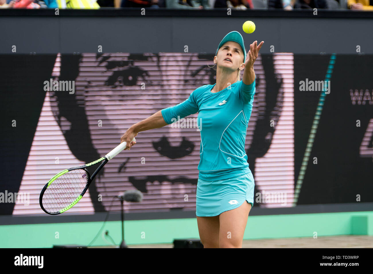 Libema open tennis hires stock photography and images Alamy
