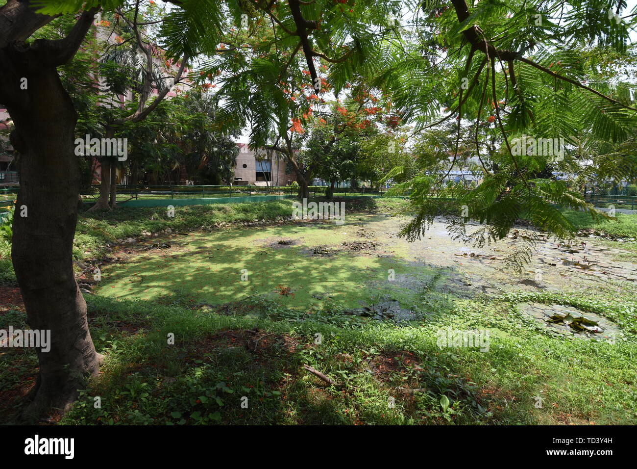 Indian science ministry hires stock photography and images Alamy