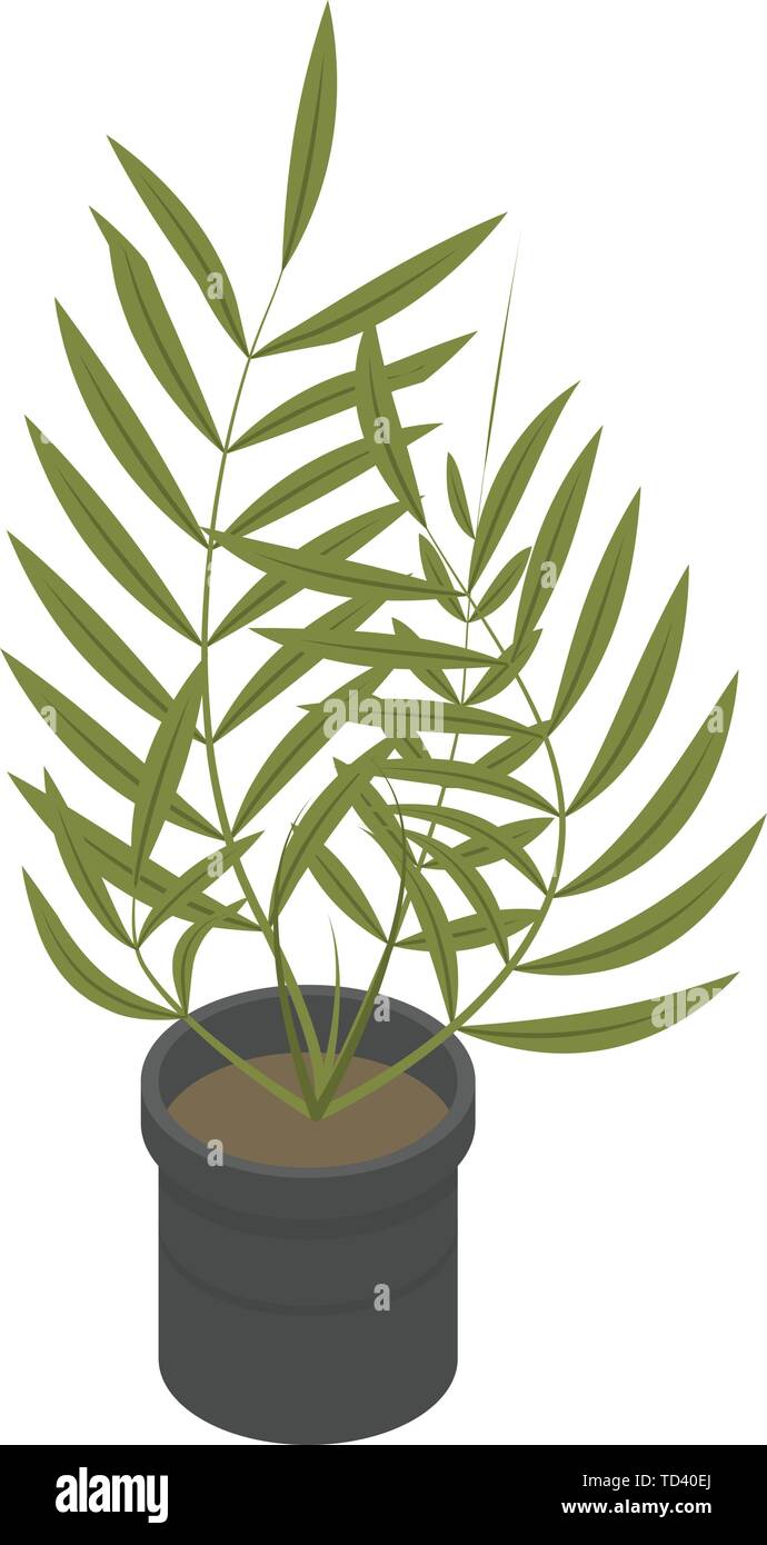Tropical plant pot icon, isometric style Stock Vector