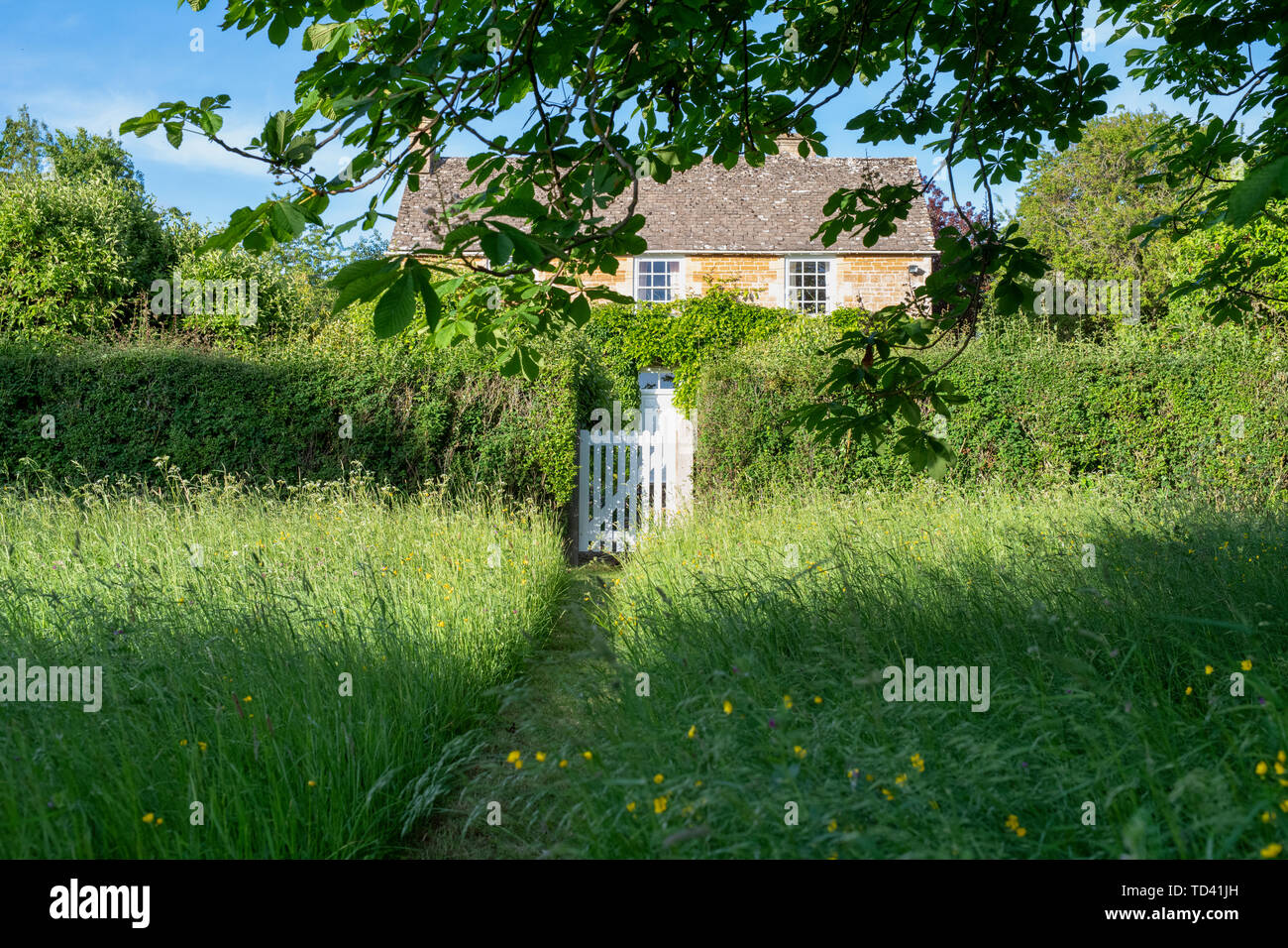 Mown path through long grass to a Cotswold stone cottage. Wyck Rissington, Cotswolds, Gloucestershire, England Stock Photo