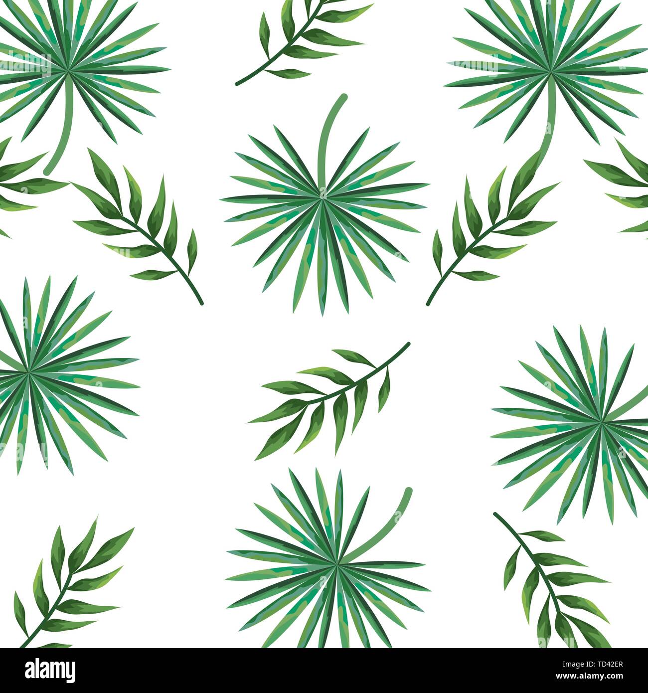 exotic and tropical leafs plant pattern Stock Vector Image & Art - Alamy