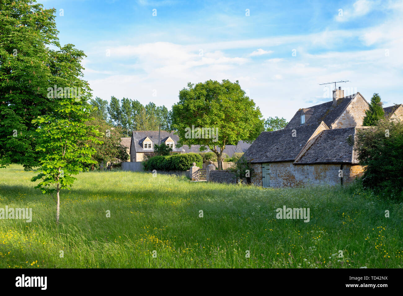 Cotswold stone houses in Wyck Rissington in the late evening light, Cotswolds, Gloucestershire, England Stock Photo