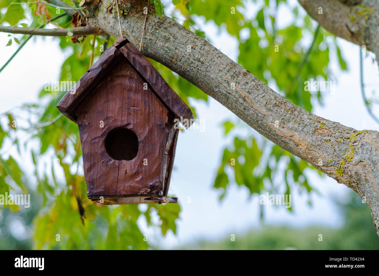 Pretty little wooden house for birds Stock Photo