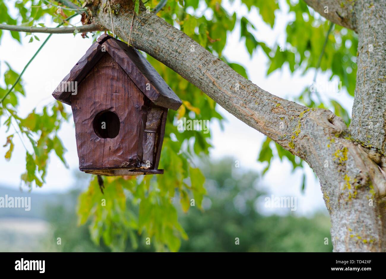 Pretty little wooden house for birds Stock Photo