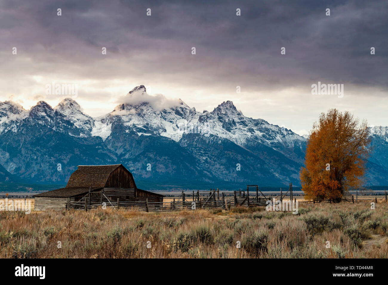 Mormon Row and Teton Range, Grand Teton National Park, Wyoming, United States of America, North America Stock Photo