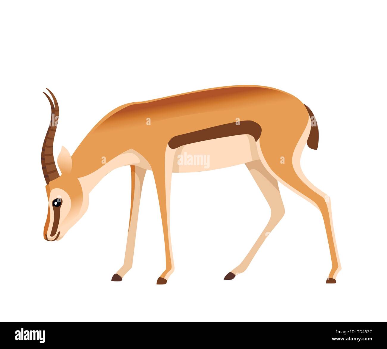 African wild black-tailed gazelle with long horns cartoon animal design  flat vector illustration on white background side view antelope eating  Stock Vector Image & Art - Alamy