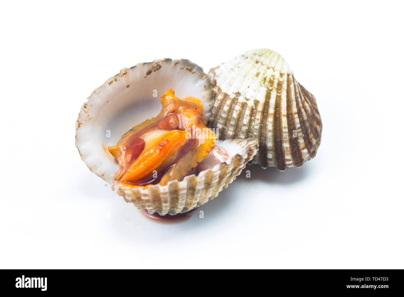 Blood clams hi-res stock photography and images - Alamy