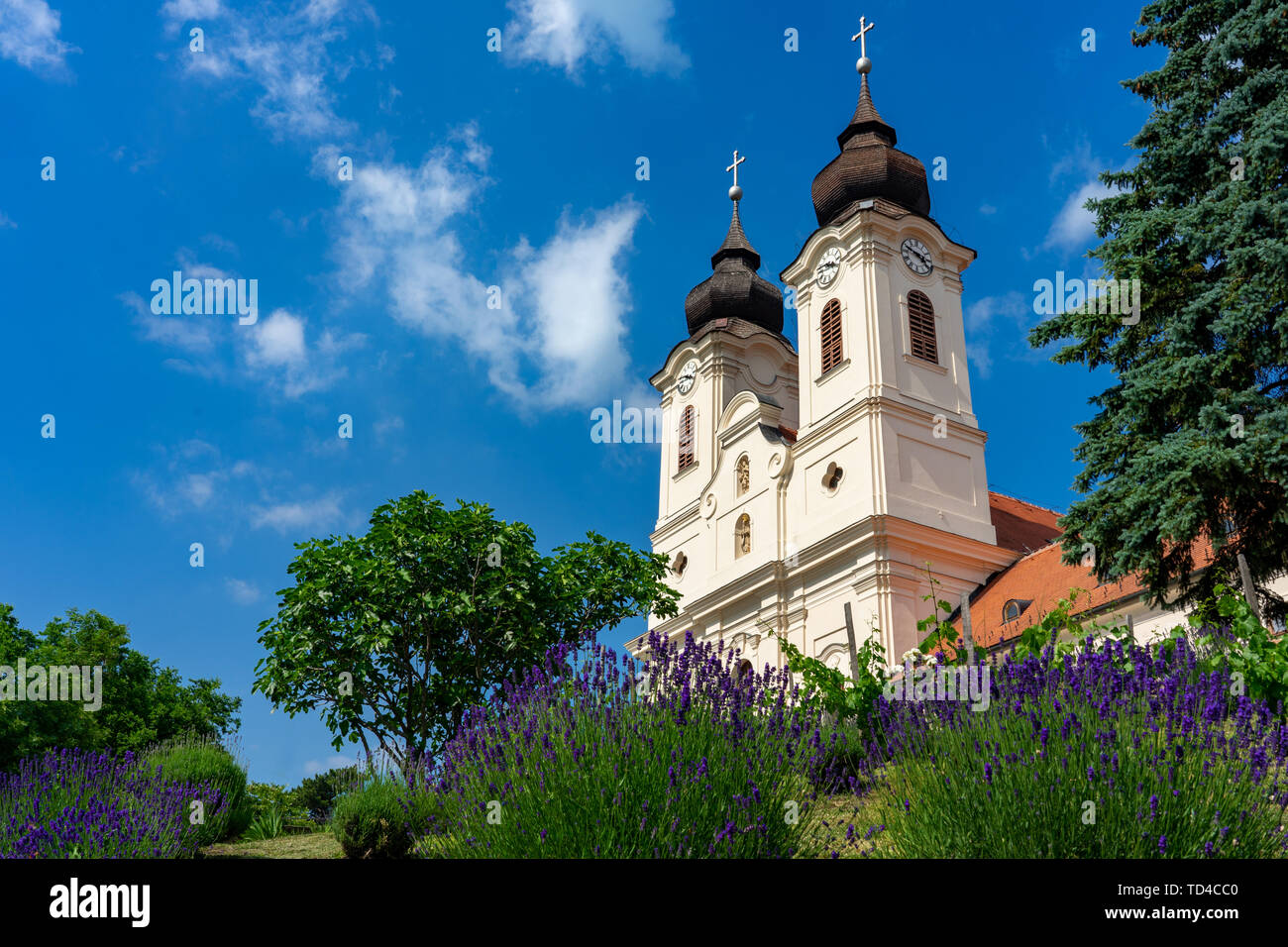 Benedictine abbey with lavender flower in Tihany, Hungary at the region famous lavender festival Stock Photo