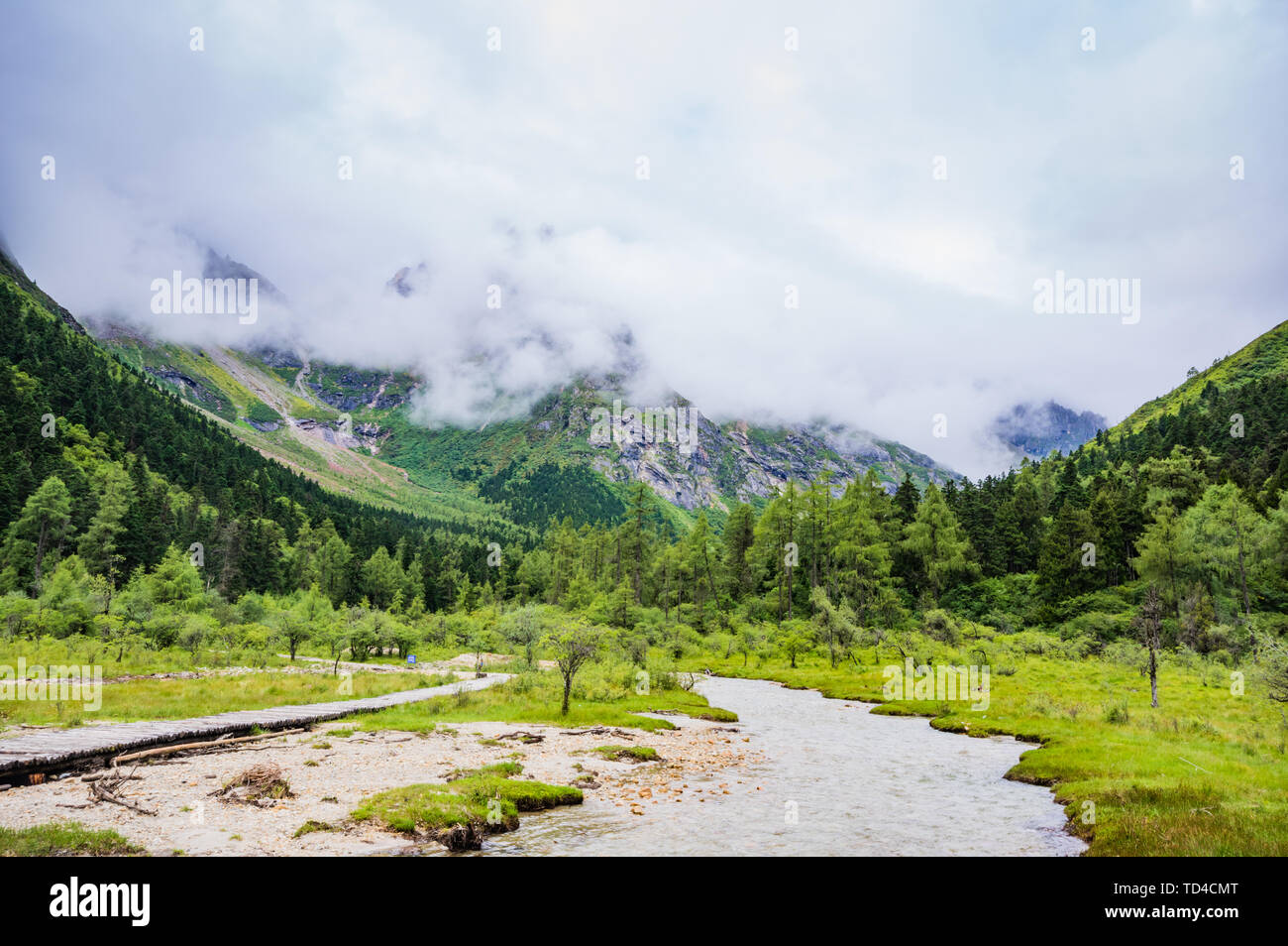Li County Scenery of Bipanggou Scenic Area, Pu Tou Township, Li County, Aba ...