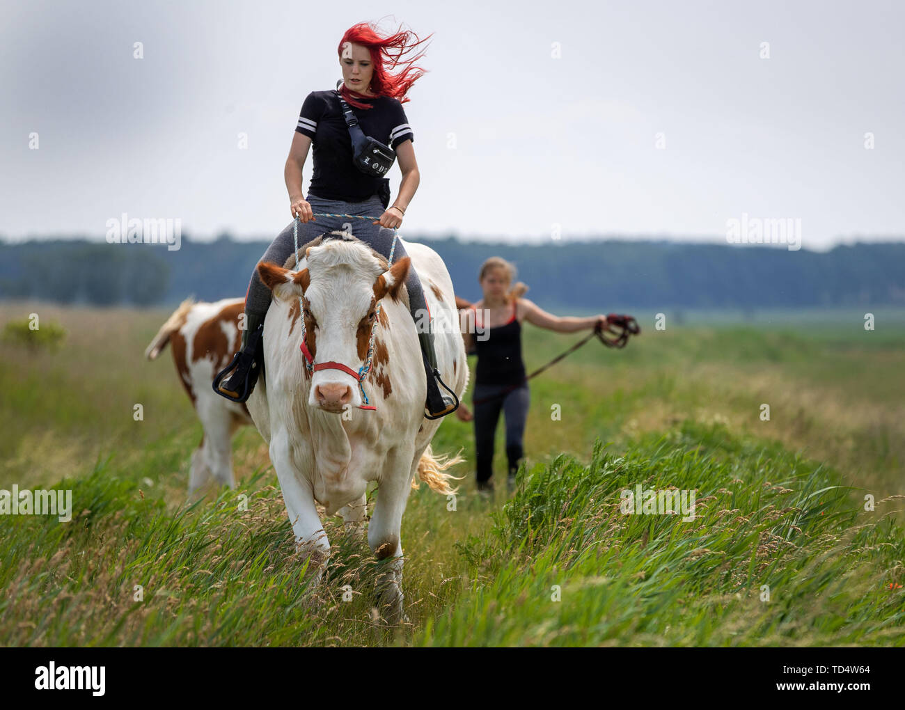 Ride Him Cowgirl