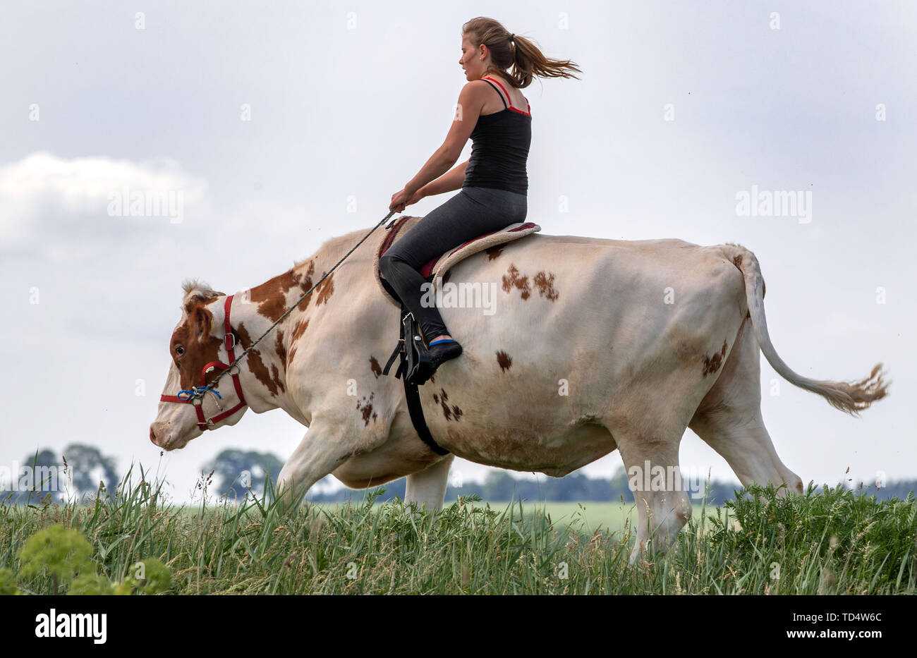 Ride Me Cowgirl