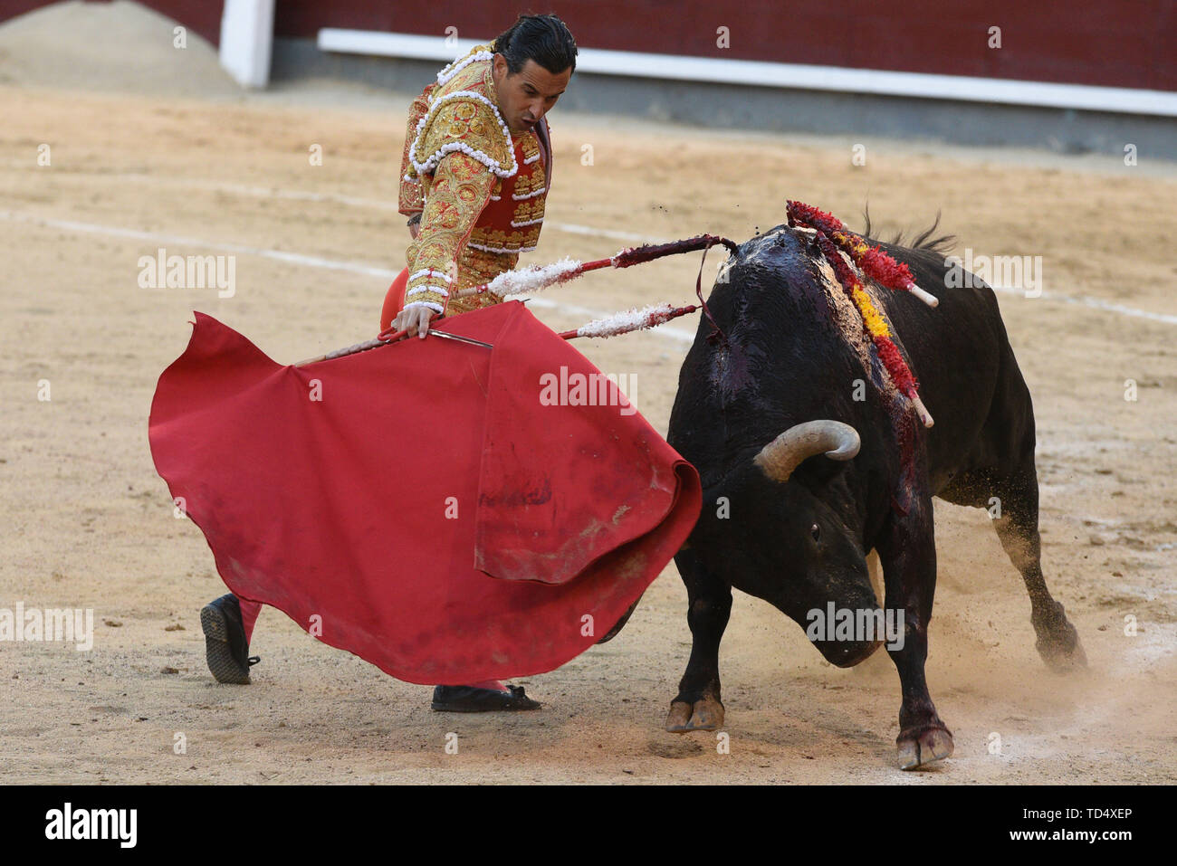 Madrid, Spain. 11th June, 2019. Spanish matador Ivan Vicente performs with  a Valdellan ranch fighting bull during a bullfight at the Las Ventas  bullring in the 2019 San Isidro festival in Madrid.