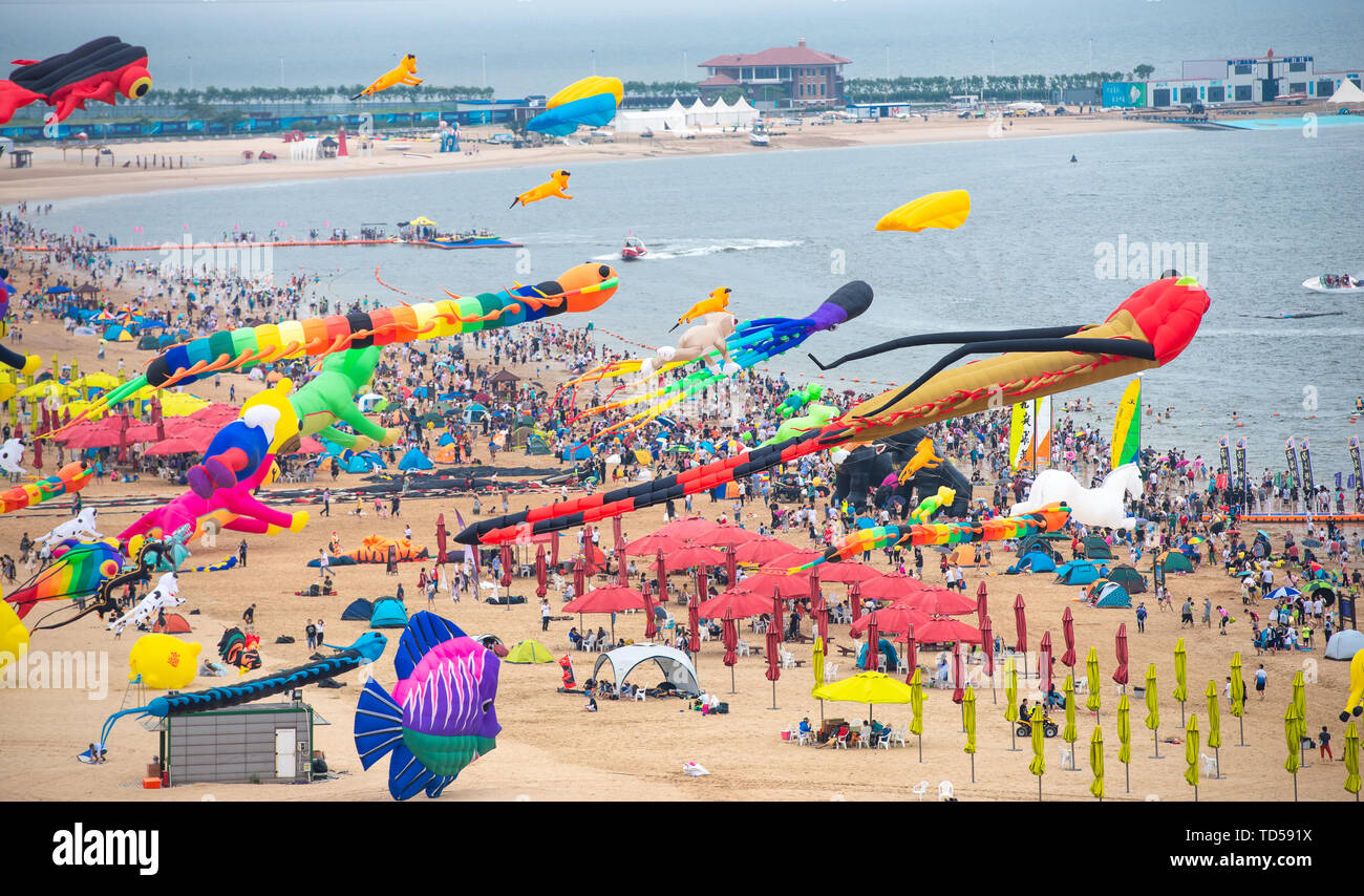 Beach Kite Festival Stock Photo Alamy