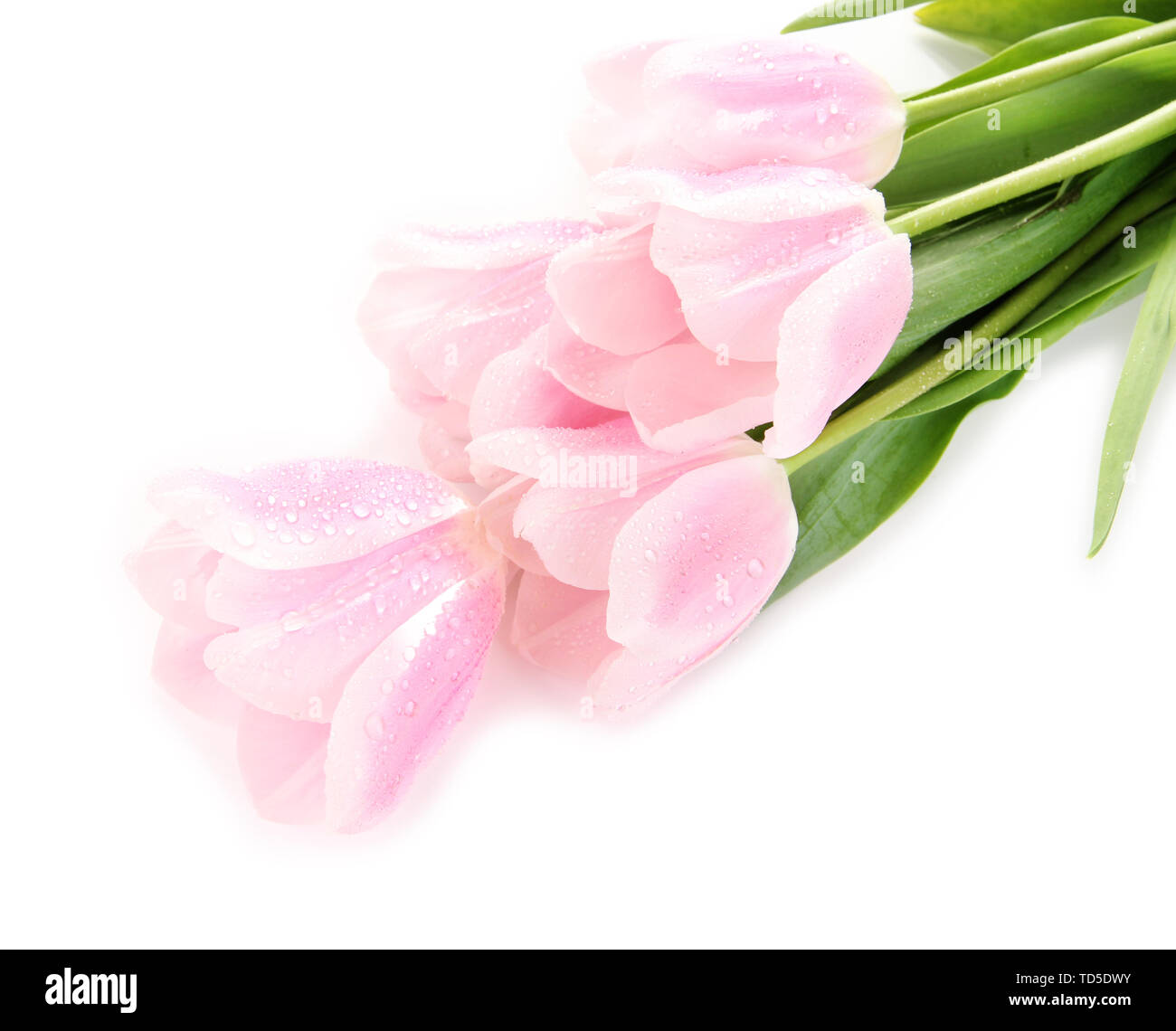 Beautiful bouquet of pink tulips, isolated on white Stock Photo - Alamy