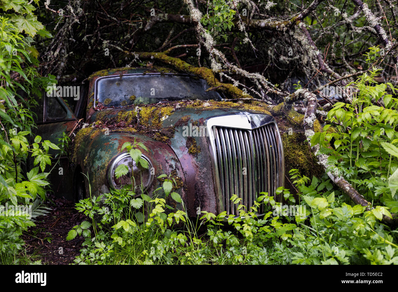 Bastnas Car Cemetery deep in the forests of the region of Varmland in Sweden, Scandinavia, Europe Stock Photo