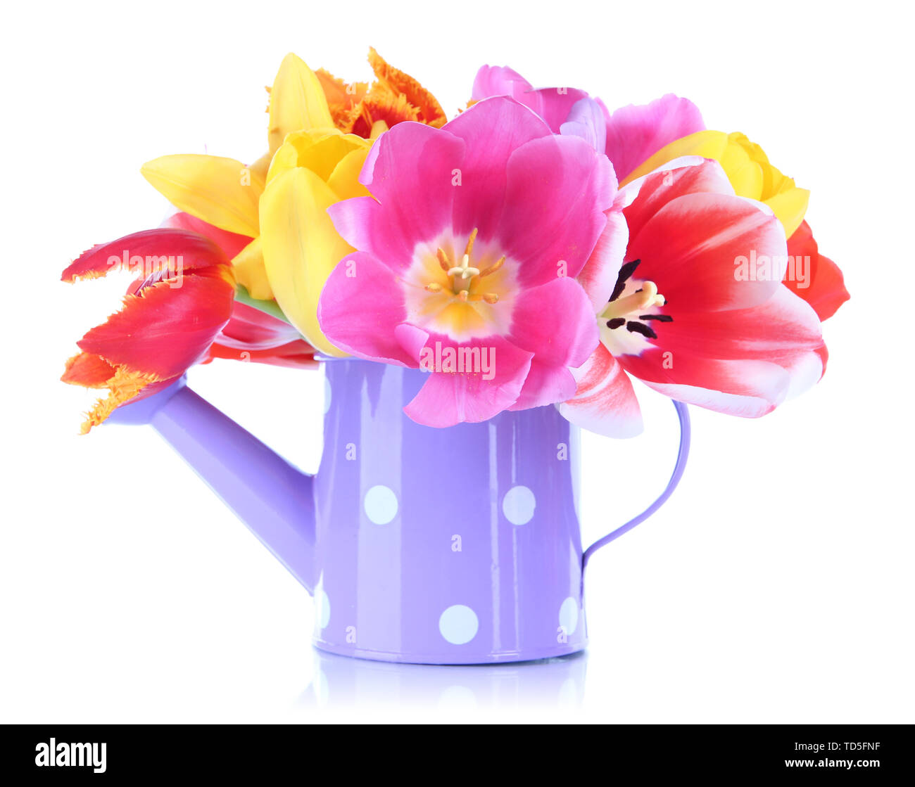 Beautiful tulips in bouquet isolated on white Stock Photo - Alamy