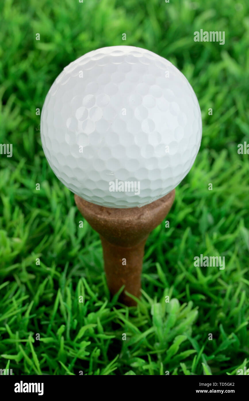 Golf ball on grass close up Stock Photo Alamy