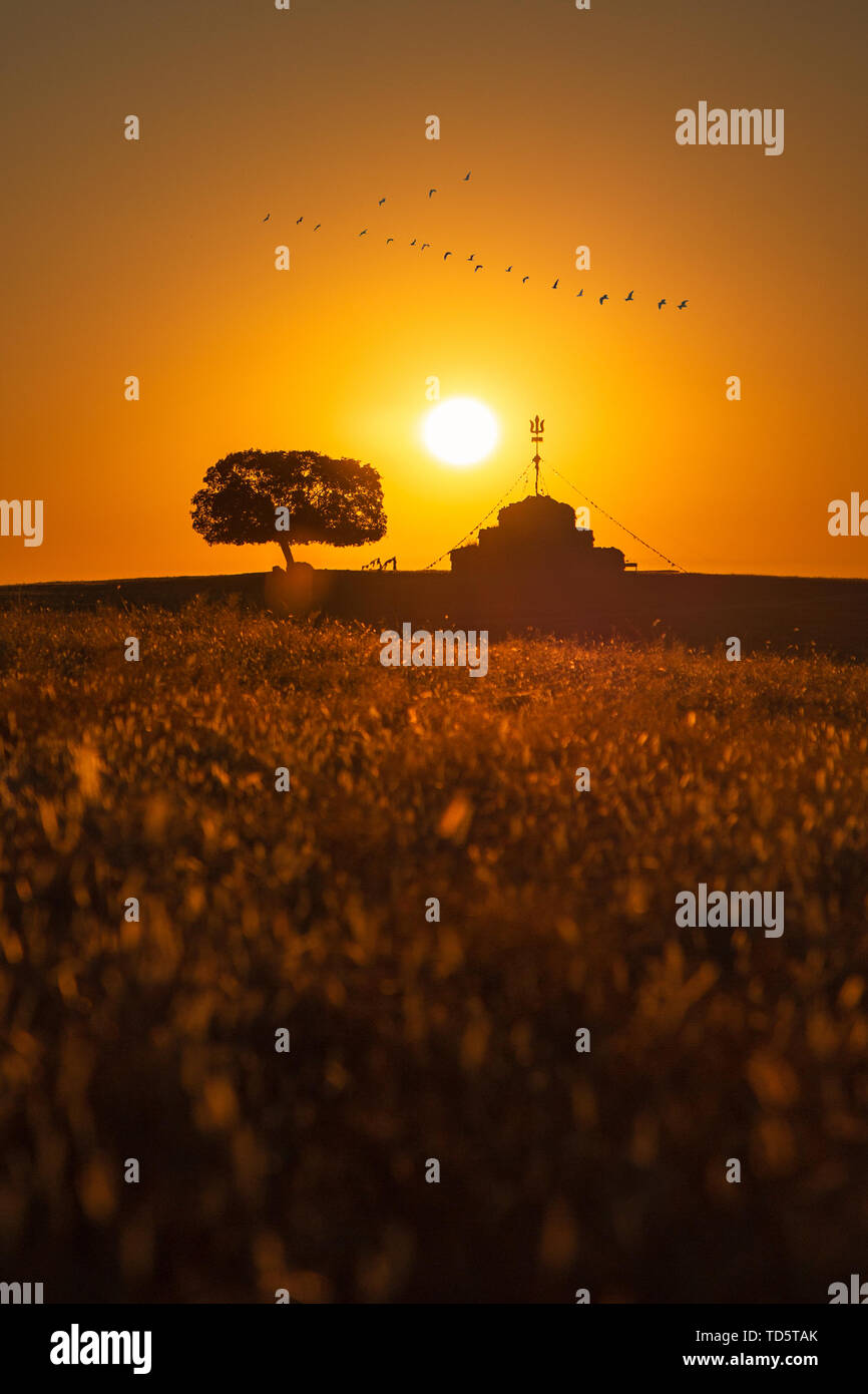 Inner Mongolia prairie sunrise and sunset Aobao meet wild geese and geese Stock Photo