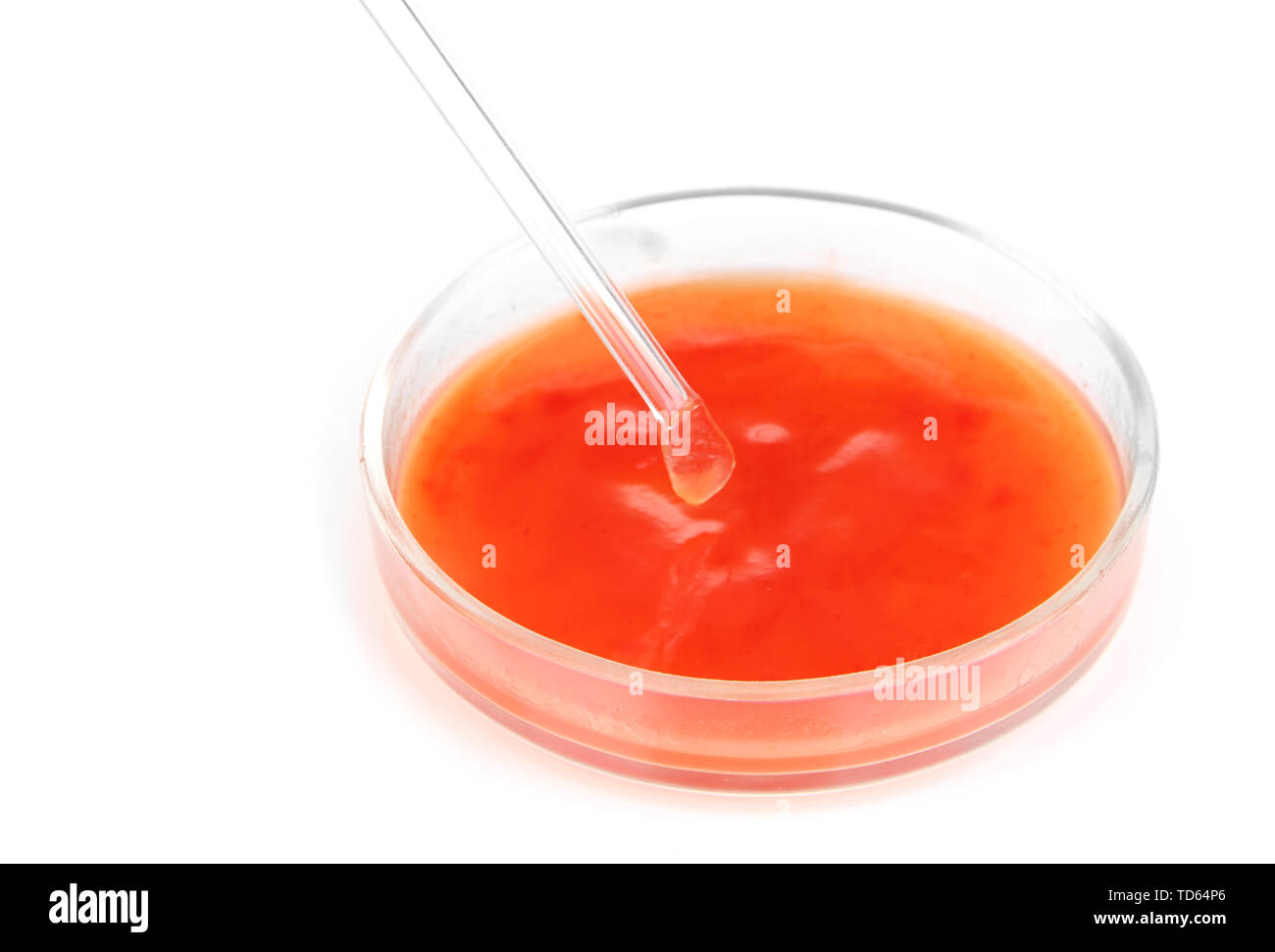 Chemical research in Petri dish isolated on white Stock Photo Alamy