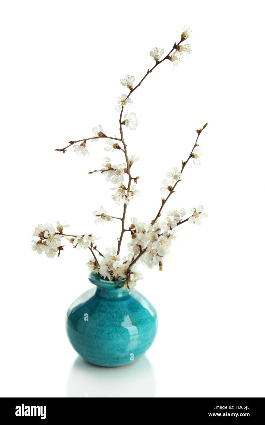Flowering branches in vase isolated on white Stock Photo Alamy