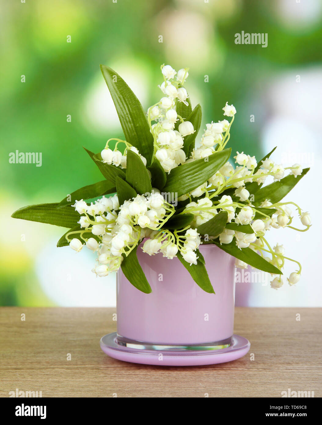 Beautiful lily of the valley in vase on nature background Stock Photo ...