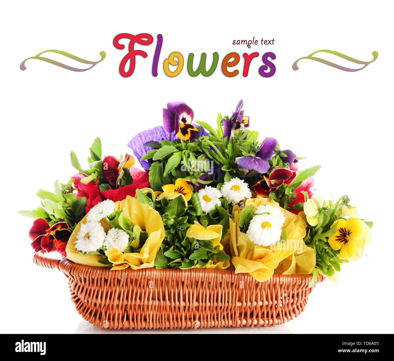 Beautiful spring flowers in basket isolated on white Stock Photo Alamy