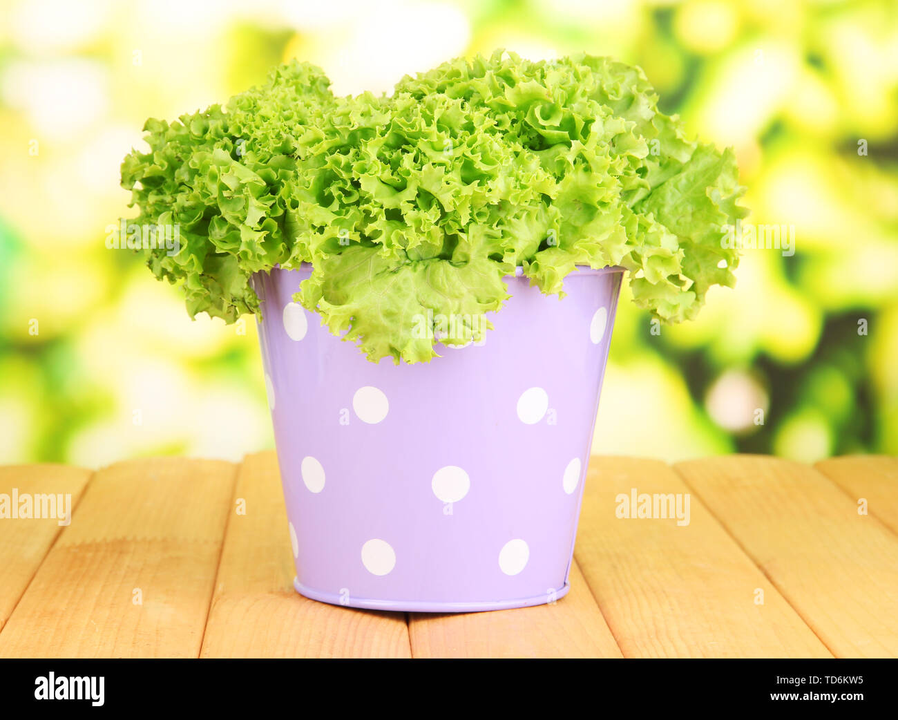 Fresh herb in colorful pail on wooden table on natural background Stock ...