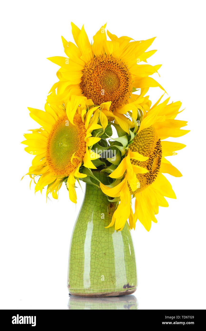 Beautiful sunflowers in color vase, isolated on white Stock Photo - Alamy