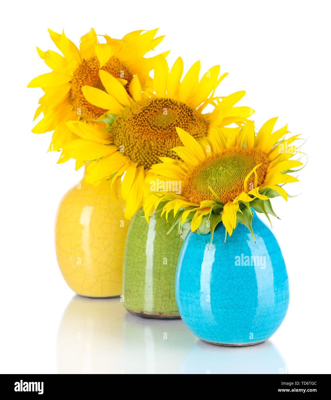 Beautiful sunflowers in color vases, isolated on white Stock Photo - Alamy