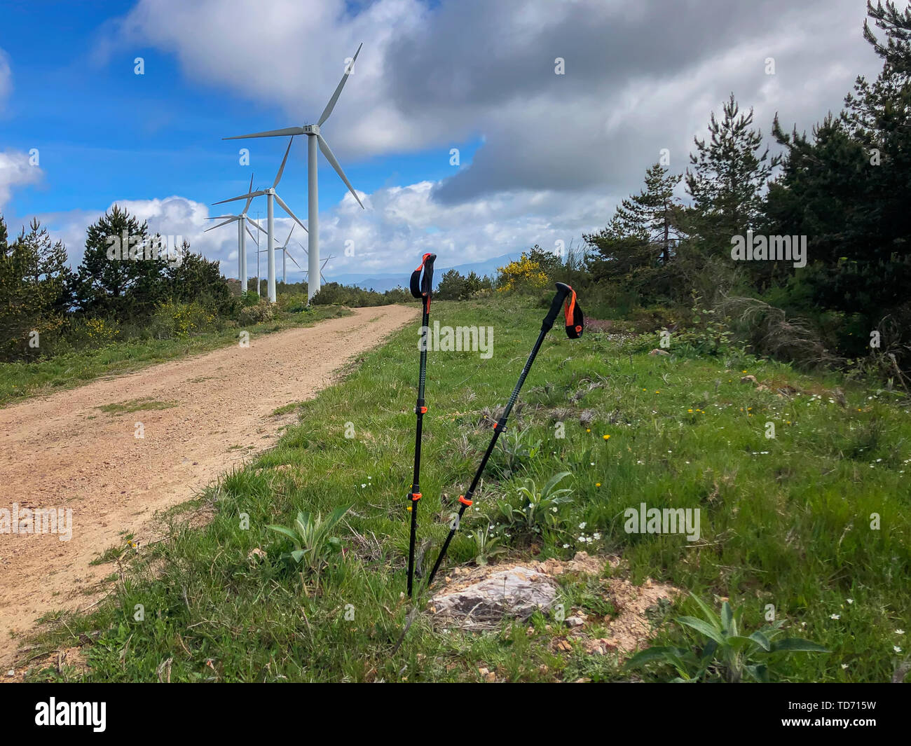 Hiking sticks, hiking sticks on against blue sky with clouds, ground road and wind generators. Active and healthy lifestyle in summer Stock Photo