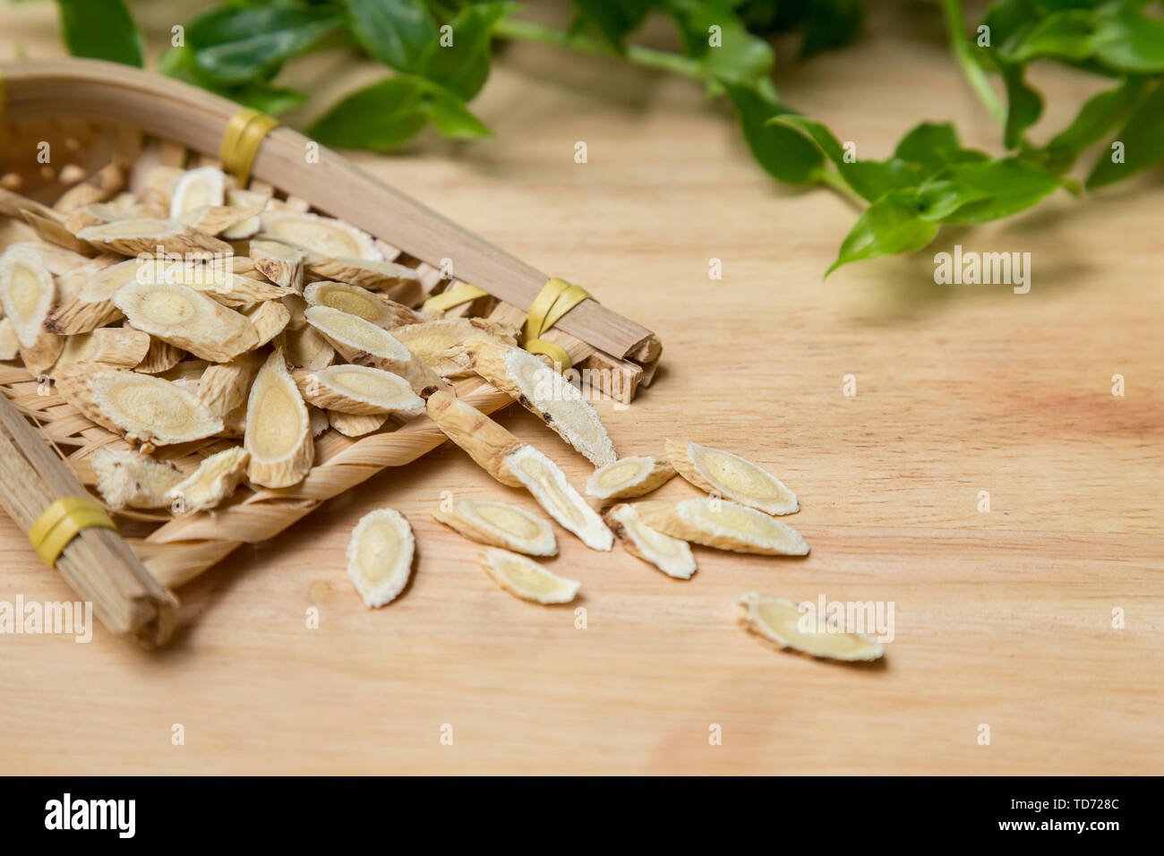 Closeup Astragalus of Traditional Chinese Medicine Stock Photo Alamy