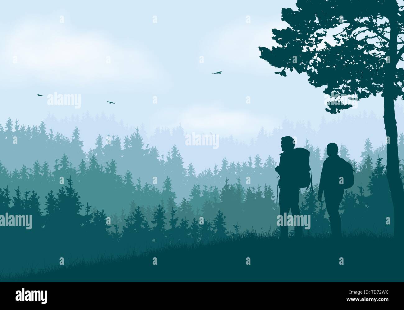 Realistic illustration of mountain landscape with coniferous forest and ...