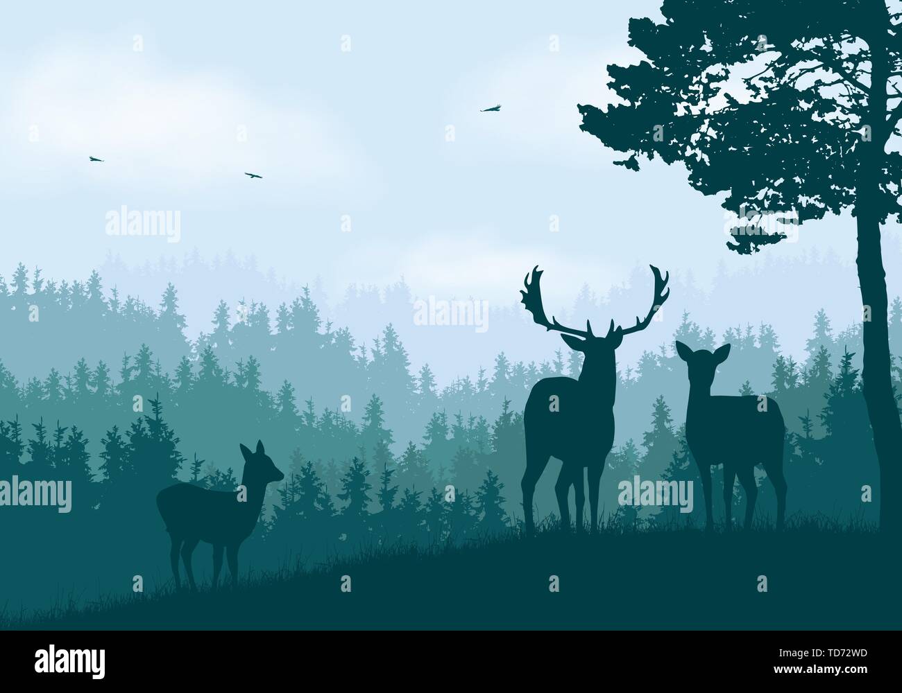 Realistic illustration of mountain landscape with coniferous forest ...