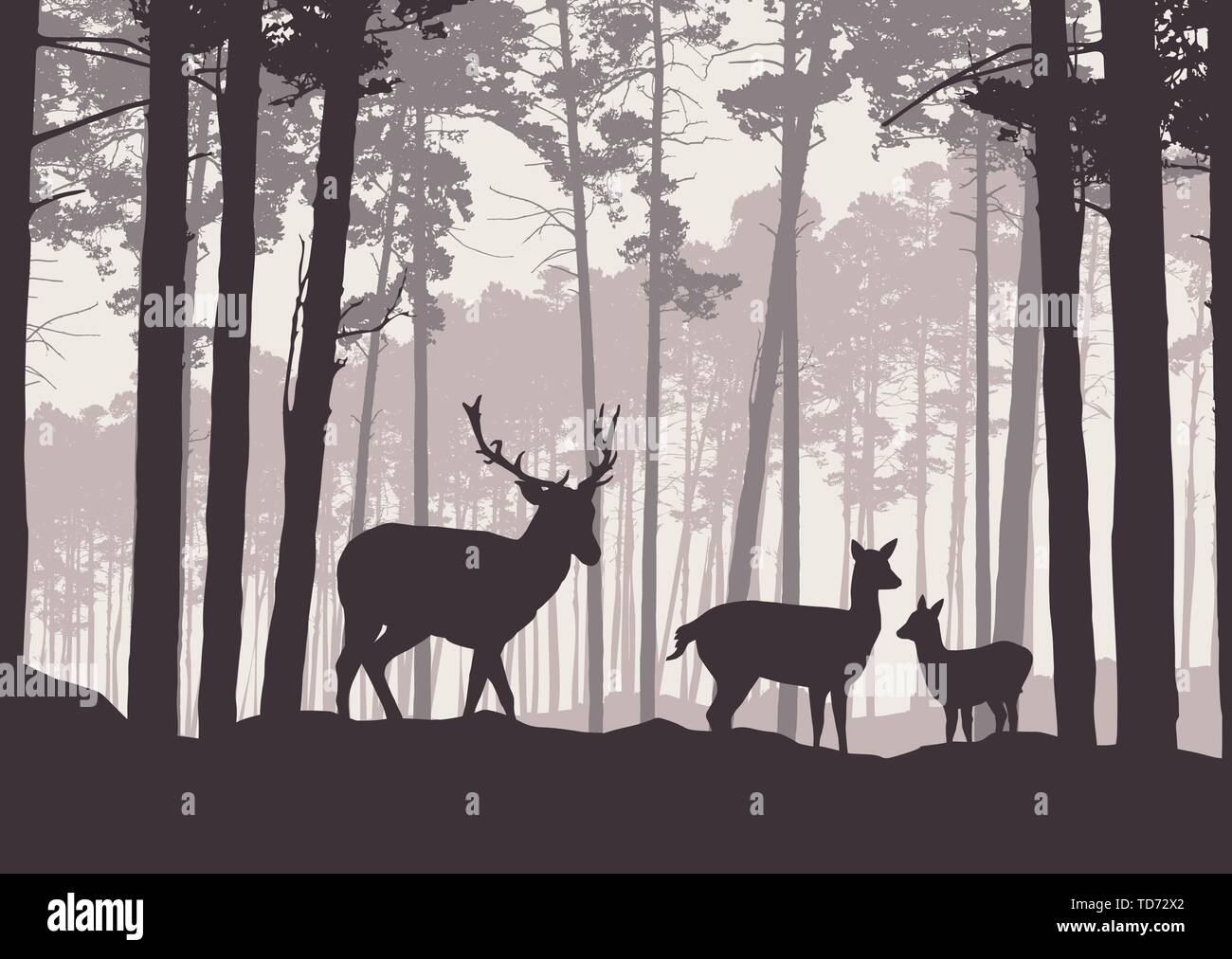 Realistic illustration of mountain landscape with coniferous forest ...