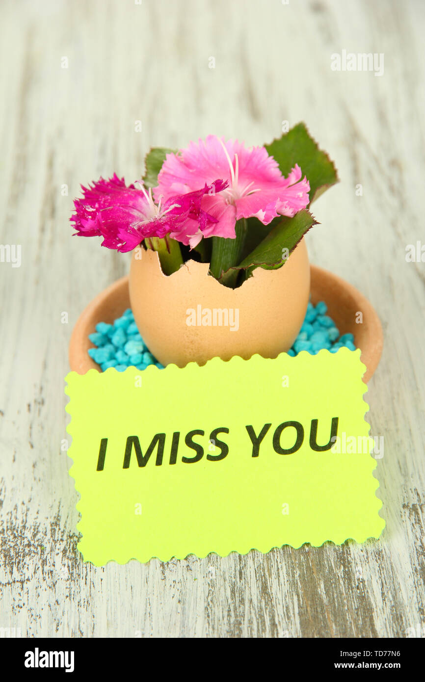Flowers growing from egg shell, on wooden background Stock Photo