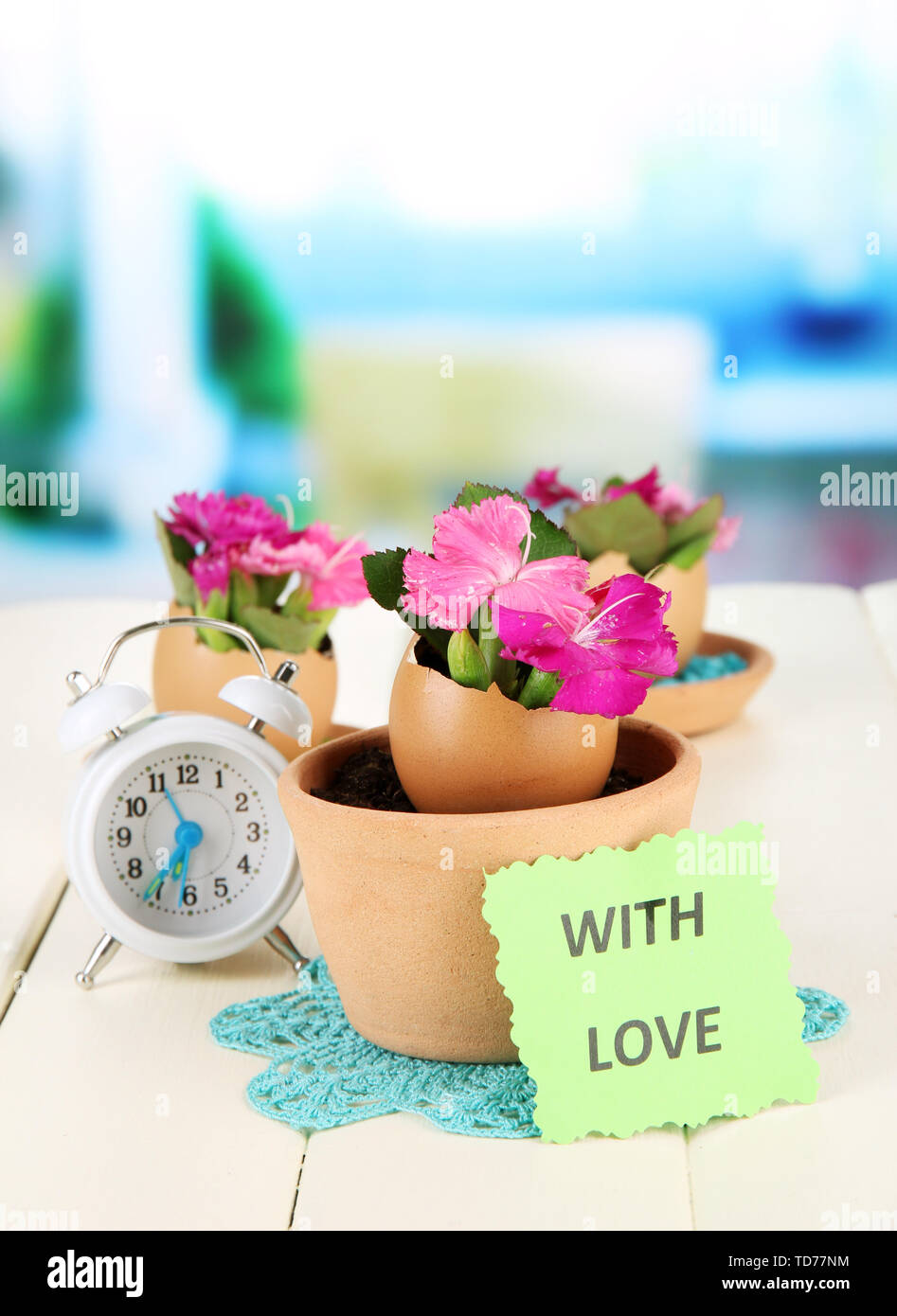 Flowers growing from egg shell, on bright background Stock Photo