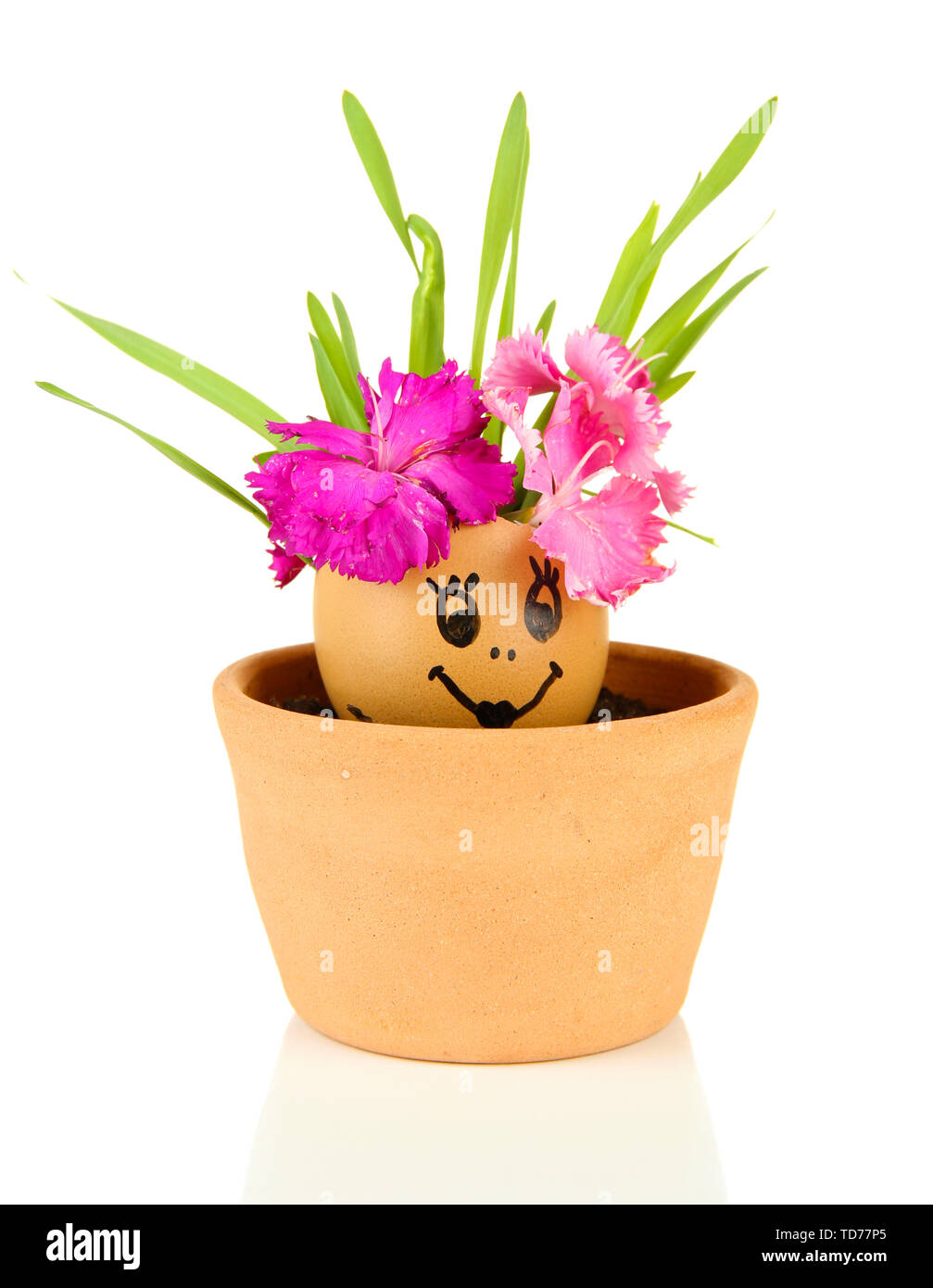 Flowers growing from egg shell with painted face, on bright background Stock Photo