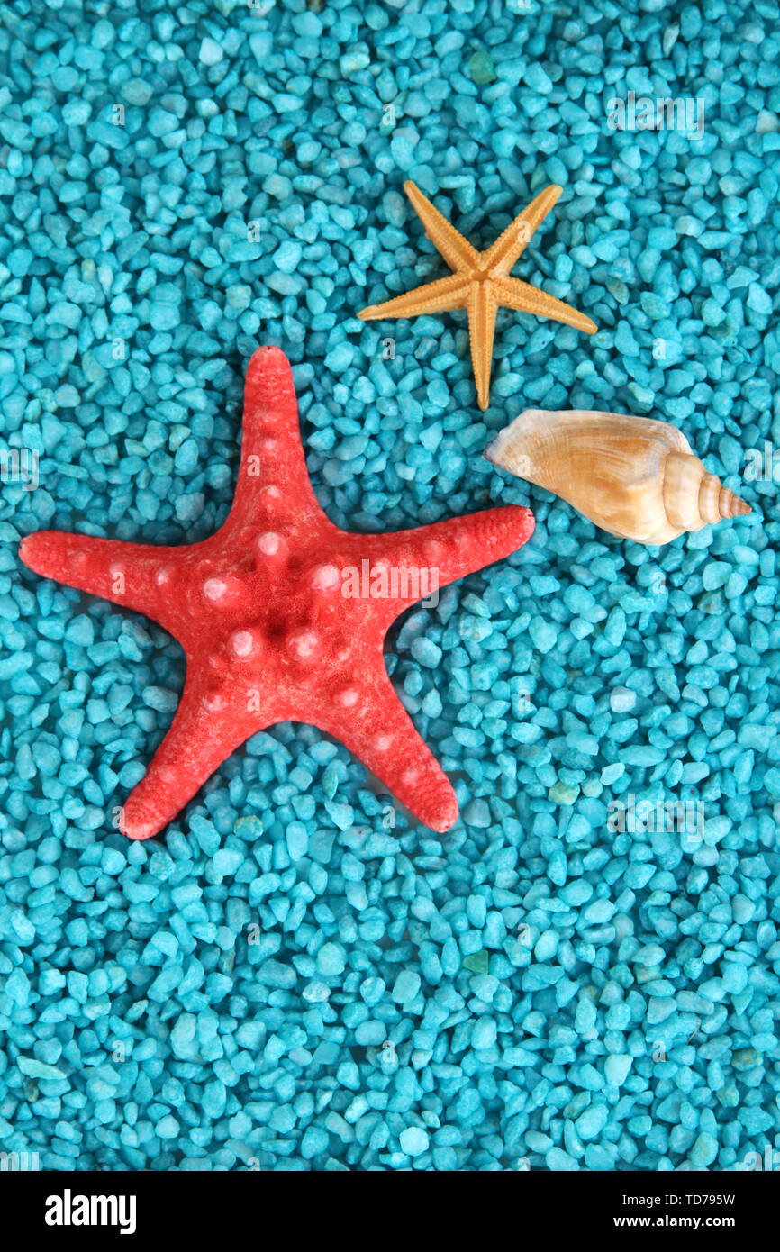Decorative colored sand with shells closeup background Stock Photo Alamy