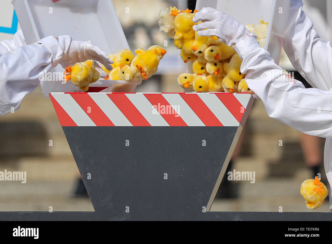 Leipzig, Germany. 13th June, 2019. Members of the animal protection  organization Peta are protesting in front of the Federal Administrative  Court with a symbolic action on chick shredding before the judgement is