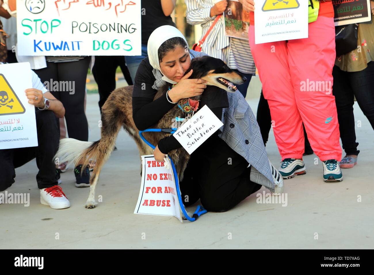 Kuwait City, Kuwait. 13th June, 2019. An animal rights activist hugs a dog during a peaceful stand in Kuwait City, Kuwait, on June 13, 2019. Dozens of Kuwaitis and animal rights activists on Thursday held a peaceful stand in Kuwait City, calling for stopping poisoning stray animals. Credit: Joseph Shagra/Xinhua/Alamy Live News Stock Photo