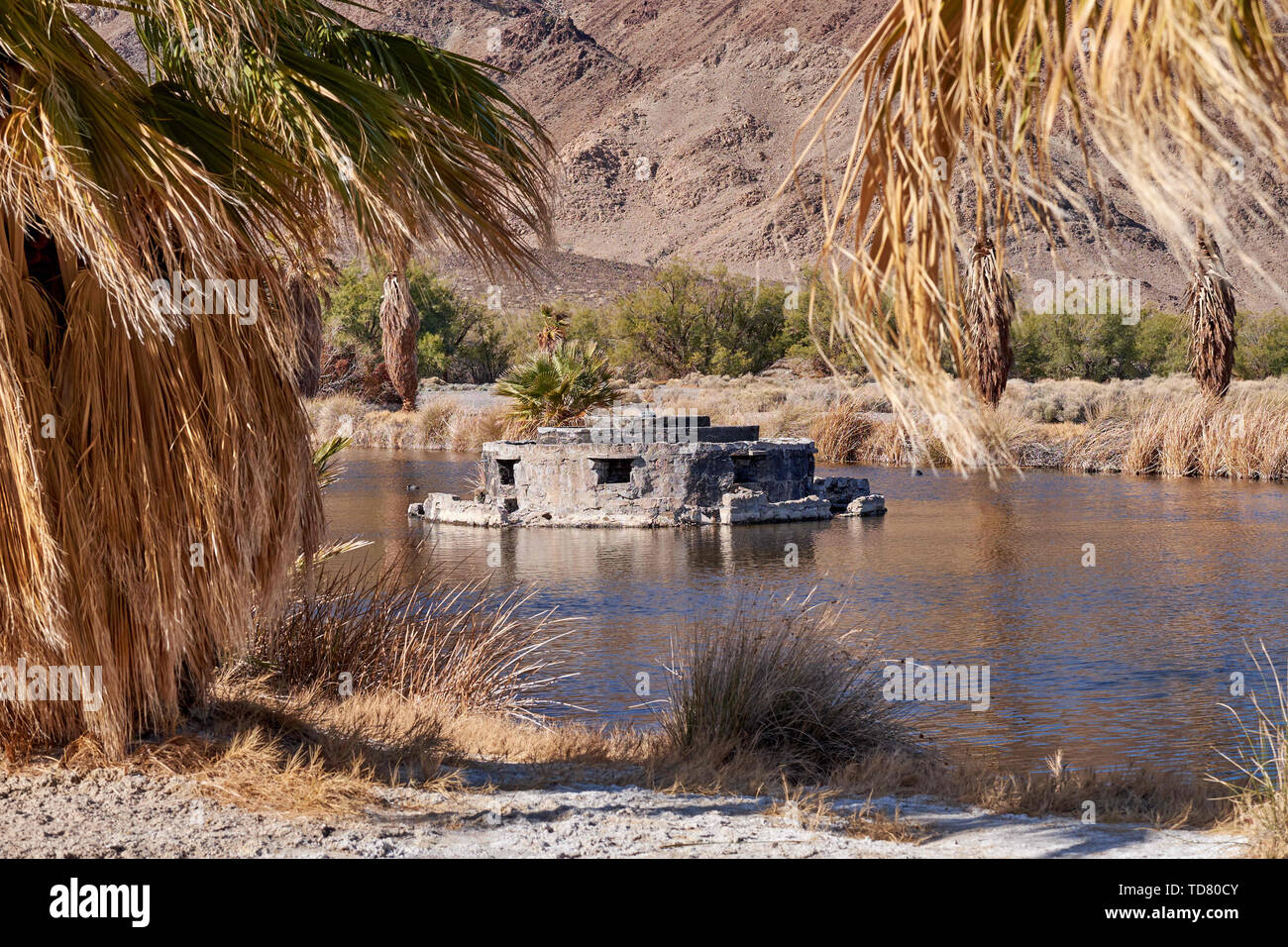 Zzyzx mineral springs hires stock photography and images Alamy