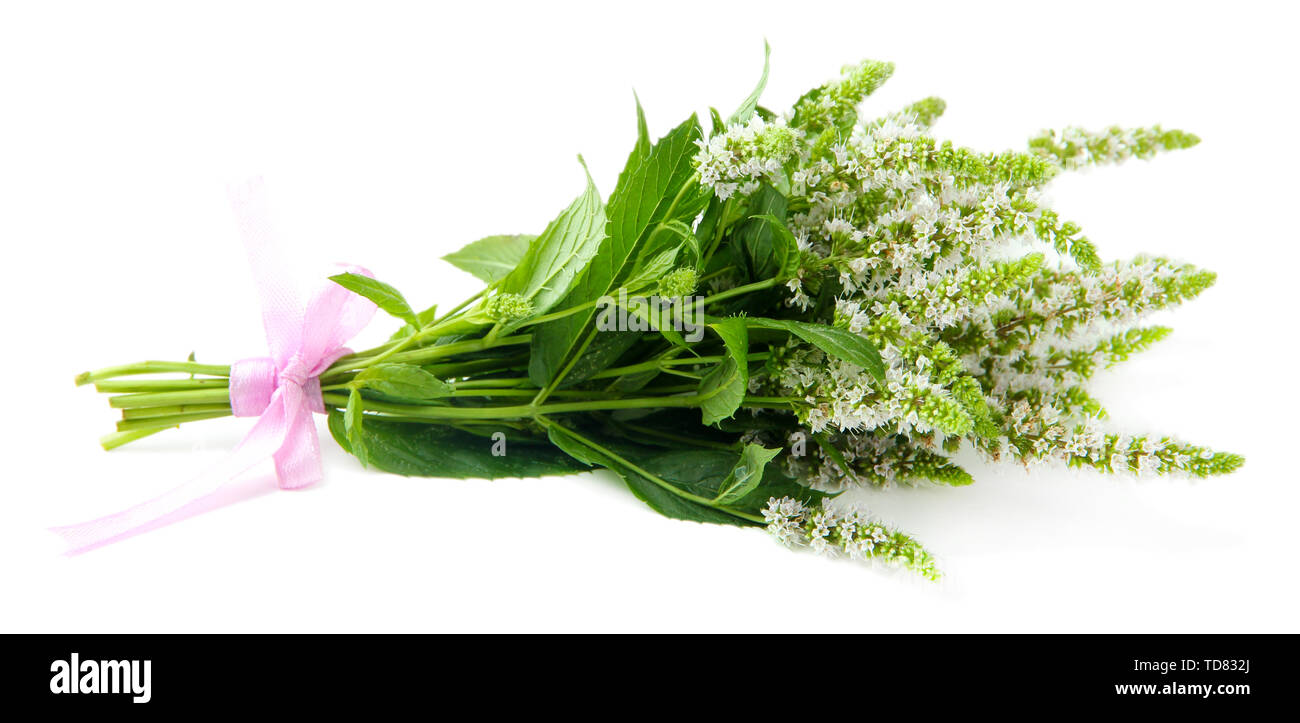 Mint Roses Fresh Fresh mint flowers isolated on white Stock Photo - Alamy