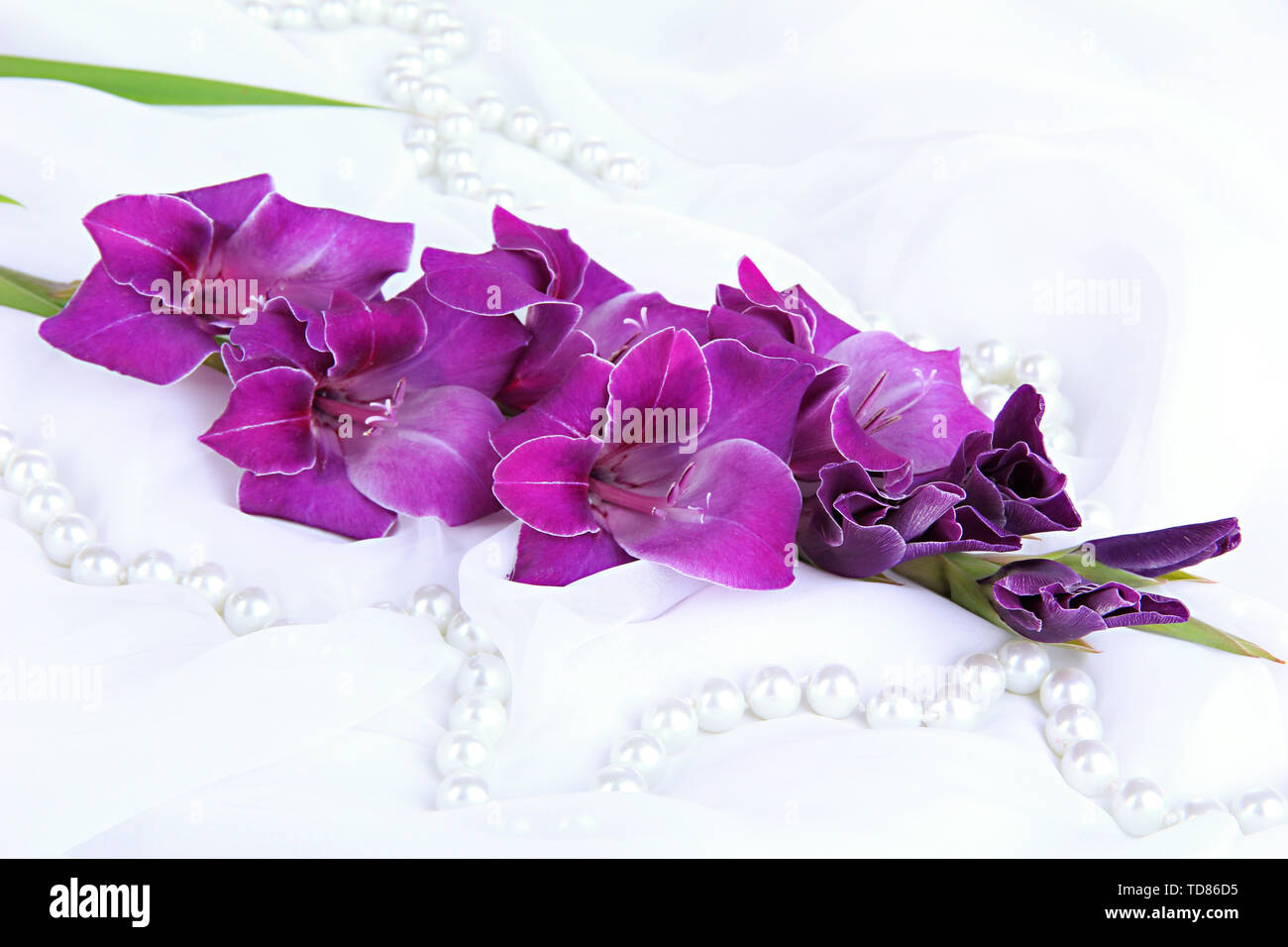 Beautiful gladiolus flower on white fabric background Stock Photo