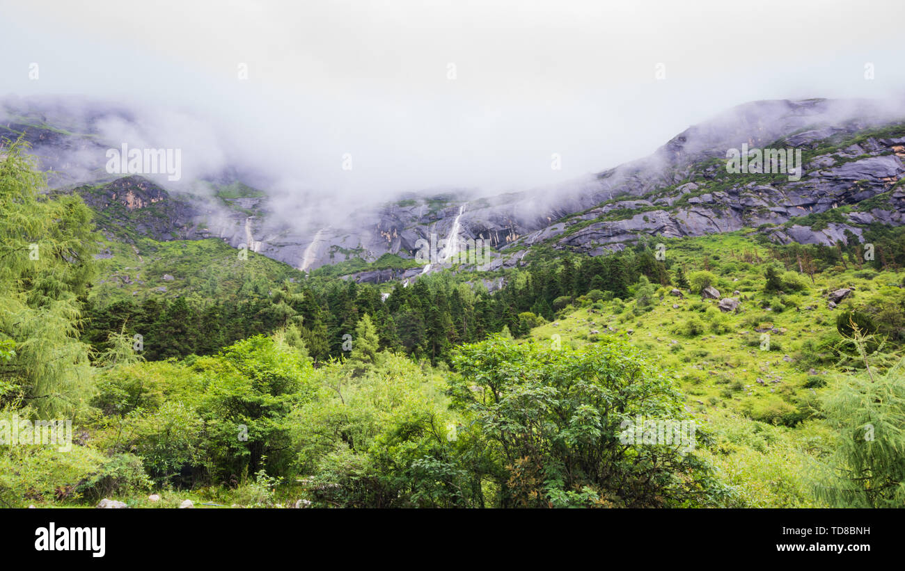 Li County Scenery of Bipanggou Scenic Area, Pu Tou Township, Li County, Aba ...