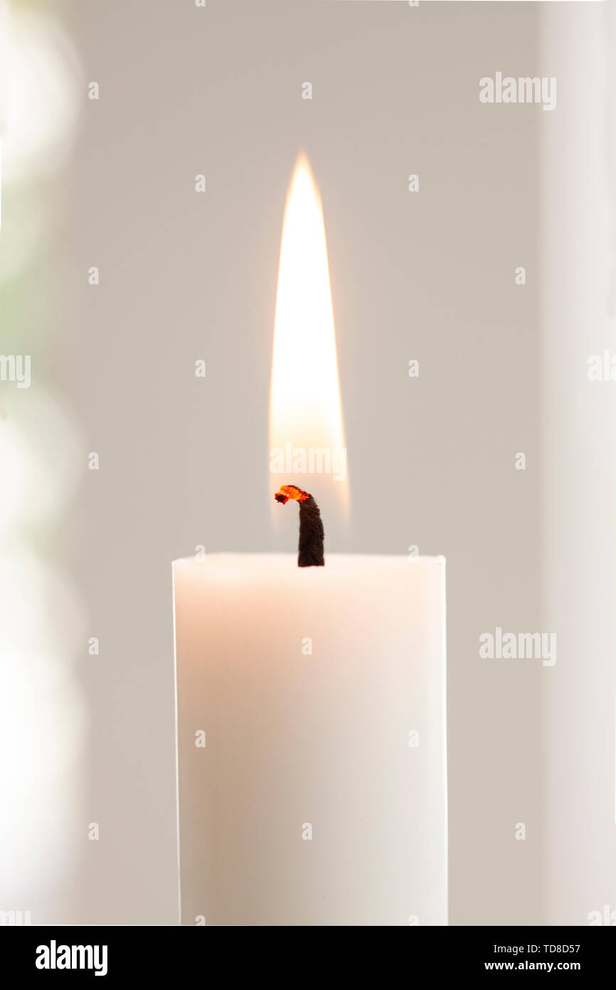 Burning candle light close up on white background Stock Photo - Alamy