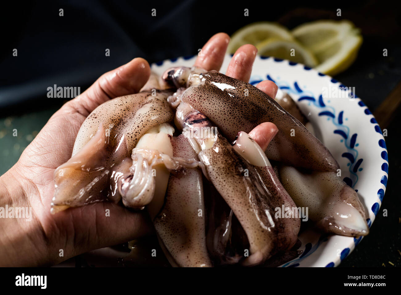 Cuttlefish hand hi-res stock photography and images - Alamy
