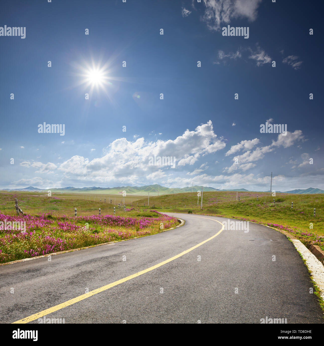 asphalt road through the green field and clouds on blue sky in s Stock ...
