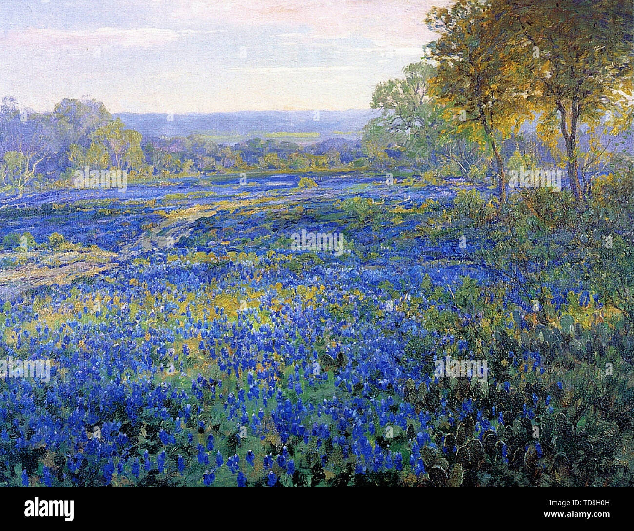 Julian Onderdonk Fields 1920 Stock Photo Alamy